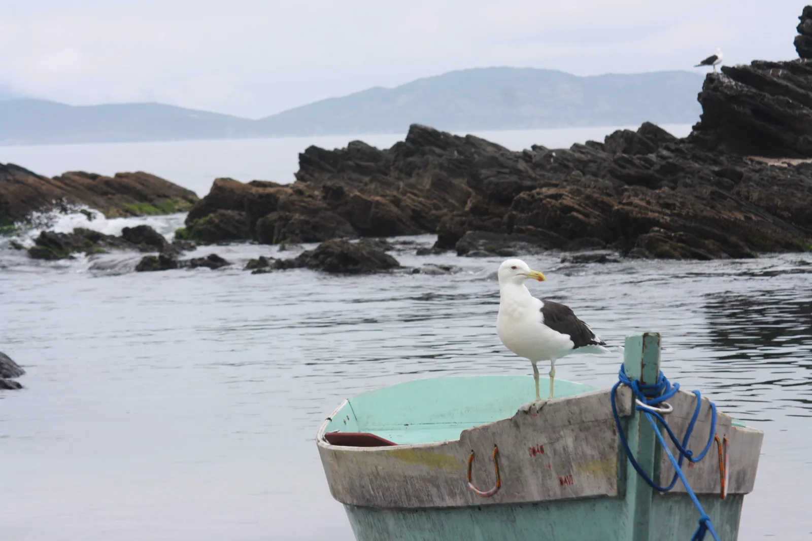 Gastronomia com frutos do mar em Cabo Frio RJ