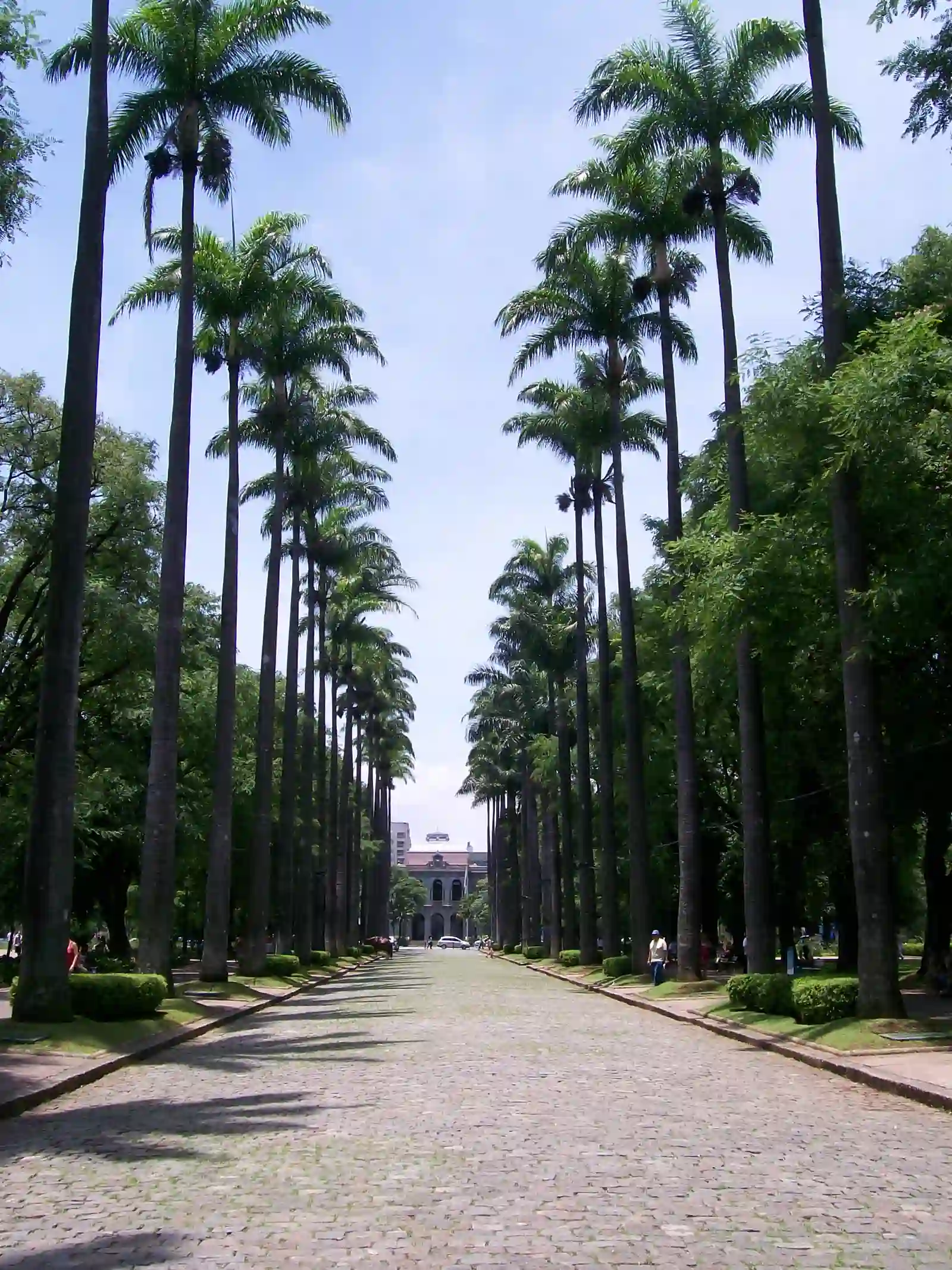 Belo Horizonte, capital de Minas Gerais